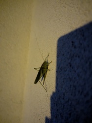 46101b24-802f-4590-9900-ea20082bdd38