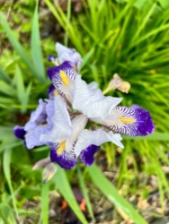 54092aa9-ff09-4735-a247-f330478b240f