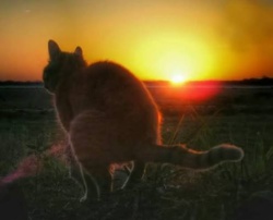 f1ddbf67-a788-446f-b513-21844e4b7002