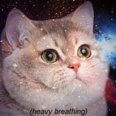 b3b5d67f-7878-433c-bee0-9835aa5cbc92