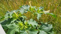 ec1445ed-7270-4137-92a2-540c42dd408f