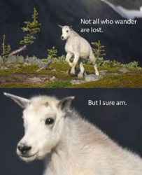 b41058d3-6ff6-4d33-a96d-d62f42d3998a