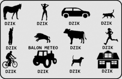 fc7d6349-9369-47f2-ae94-cff2c3b061d2