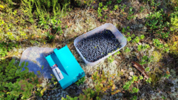 fa8c7e16-3452-496f-867c-08c2a9d7f834