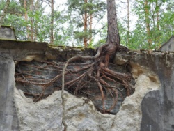 1f3c6b17-270e-46cc-b10e-194d8368827c