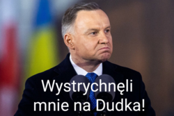 8f0cf71d-b679-4d43-8b3b-2cf8ff5e3282