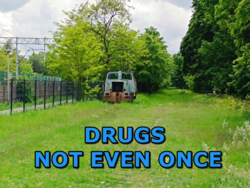 d7e02486-8b85-47be-822b-0768d02a6950