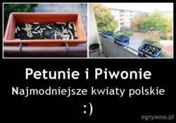 804a44a2-a58e-4d19-8cb7-1bc16c603a06