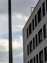 f379b044-ce40-4d59-b092-a22e6d66aec0