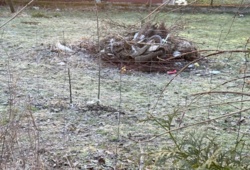 02a0806f-4188-41bd-9ef1-33bb67e1d7eb