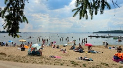 0887ff16-3a0d-46b2-89bd-45f576fd058a