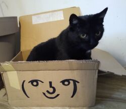 4fb99c08-d61c-40e8-880b-33f5543b1b47