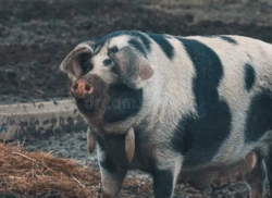 1621657d-32cd-4a5a-86ad-1985e451c5cc