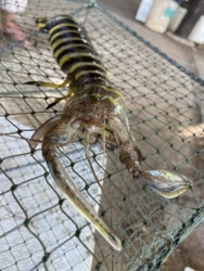 cf506ebd-d847-48e3-b690-52249af4052e