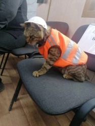 33edf343-8ca6-4d36-b7c6-ac6b7ac6e5ac