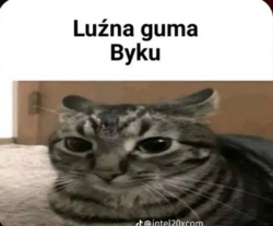 b9a283b5-8683-4fed-97c8-87296f66a312