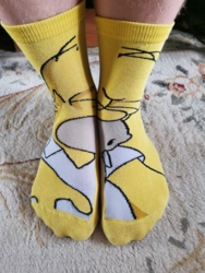 01db300f-7ad3-4505-94ff-136d2665934e