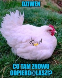 74dfcb85-97f7-43f2-8c8c-8aa0ca5f7d9d