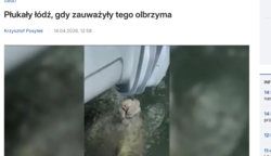 9a17c500-e89c-4fdb-ab45-0fe94f95caef