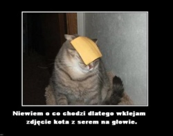 347783b7-b5dd-4a24-8617-382cfc7f17e1