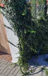 e5157a86-ef50-4617-9528-079d10d57095