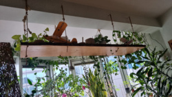 9c3dea4b-5d06-499a-a56f-a4bda9ae5dea