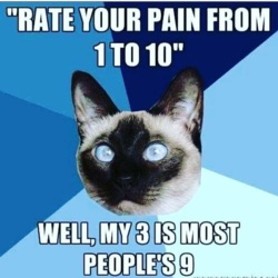 3a43c541-648c-4ee4-ad49-bc85fed68abc