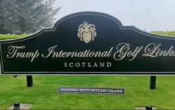 cdd4f2b9-583a-405c-8931-8d0dce774165