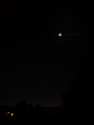 e57b9973-a7c3-450a-aa8a-e6a733947e8e