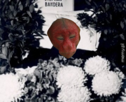 d1d9bc19-3e78-434e-ab35-4c326b7bcac8