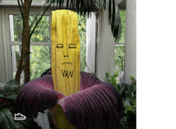 6b310d60-9774-4542-92a9-a705c11c0265