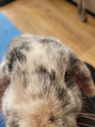 28d30baa-413b-495b-940a-3e3969fea180