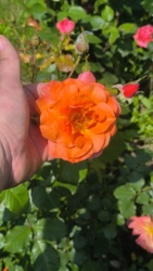 b5613708-d235-4598-9955-1e5dc82e2938