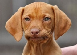 87f49344-eab0-4dfb-82f2-c0d8db4e0c8b