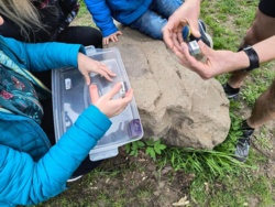 b79f95e8-7dc0-460f-af0d-0a3cdaf12155