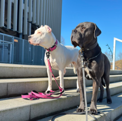 b637803e-5244-443d-af66-6aaad48dd120