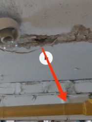 16ea1883-b058-43e3-ae66-b0f5d4b8b15b