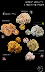 d5432ca4-cdb4-4e13-b46d-805107ed81b2