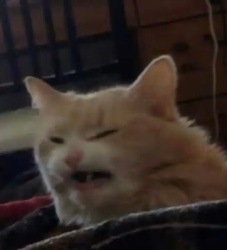 2307c0bc-a0d2-42a7-9cff-dcc7f3f7a064