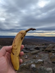 24e5dbda-b1ab-485b-a071-e46b9a5e317f