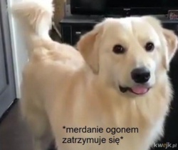 d9a15a25-3678-4936-8240-72c3c20d1216