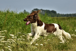 7c571adb-b5b8-43ca-b9ed-d54705fab26f