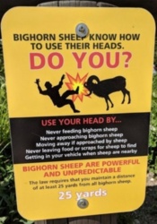 8fd0a3b2-8d45-4ef1-9896-f0b7ffde9fe7