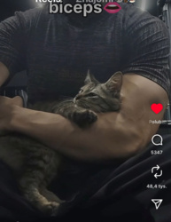 8fc16735-3ab7-48d0-84a1-546f5c72d9d0