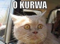 f057b08e-3442-418f-81d8-acb28ea08520