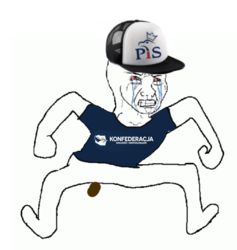 20058301-af37-4378-a6c4-187119237898