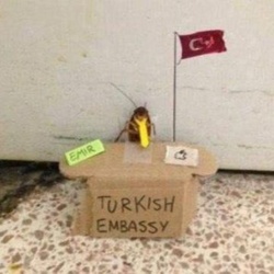e618e252-2b6e-4a53-b141-d073e34dfb5e