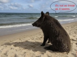 ff475190-9d62-4e74-a645-c2d55179fb3c