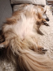 c47348f4-51b5-4b03-a422-a7e6e375b343