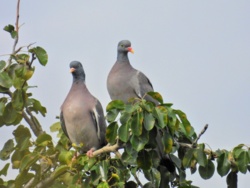 72578a97-d628-4368-937f-ff0875a29c1e